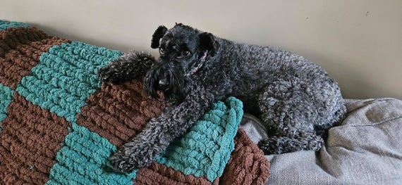 Chunky knit throw blanket