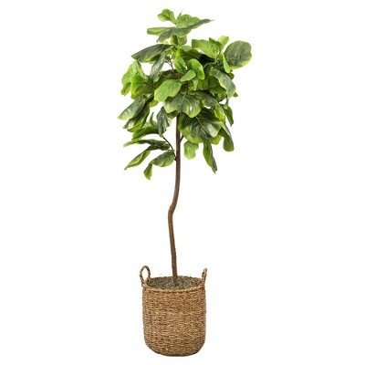 LCG Florals 5' Artificial Fig Tree in Natural Basket - Wicker Rattan Base, Indoor Decorative Plant